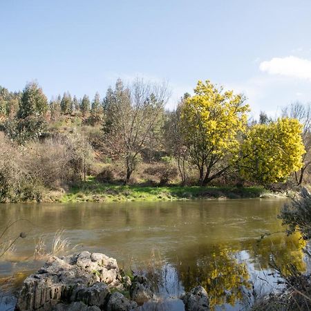 Casinha Da Aldeia Villa Castelo Branco  Dış mekan fotoğraf