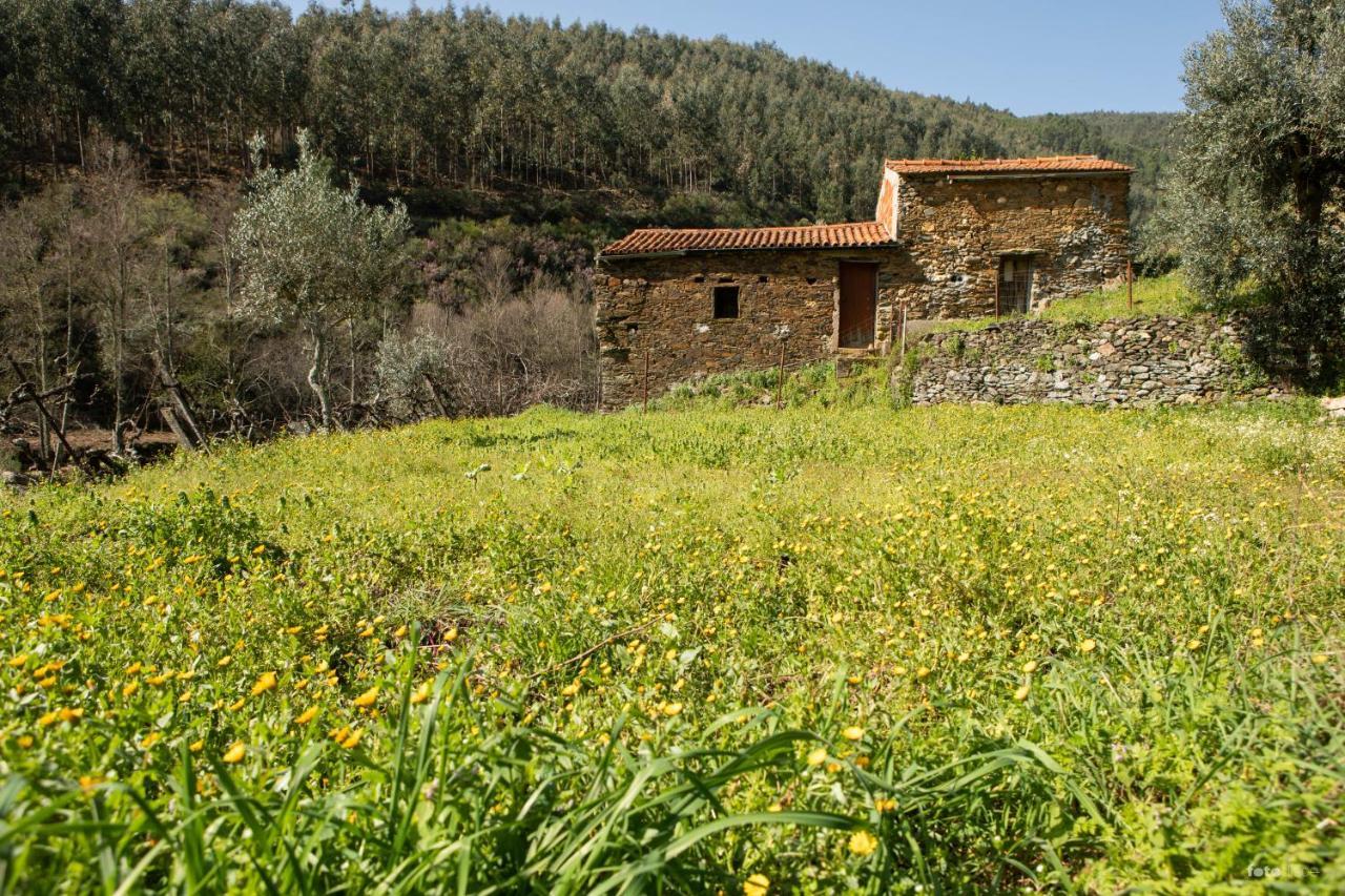 Casinha Da Aldeia Villa Castelo Branco  Dış mekan fotoğraf
